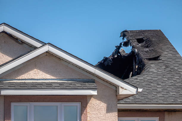 Top rated local Emergency Fire Cleanup specialists in Waverly, MN